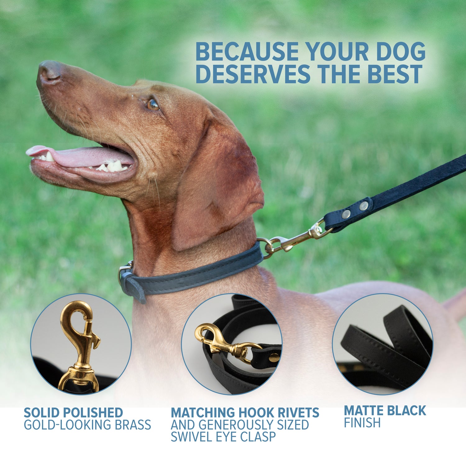 dog leads strong, leather dog lead