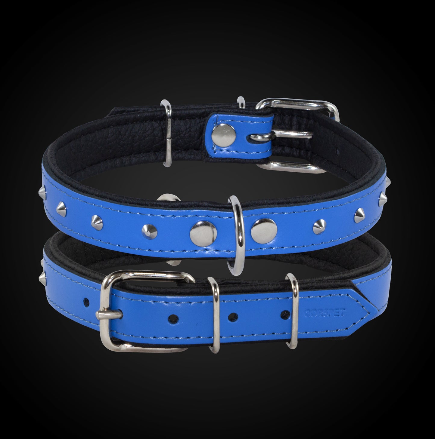 blue collar, blue leather collar, small dog collar